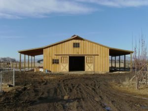 Horse Barn